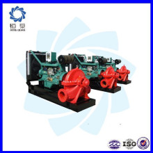 portable diesel engine water pump set/ price of diesel water pump set